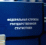 Экономическая перепись - Тюльганский район