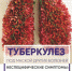 Туберкулез и дети - Тюльганский район