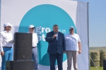 День поля