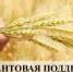 Объявление о проведении конкурса по отбору семейных ферм на получение грантов в 2024 году - Тюльганский район
