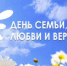 В Оренбуржье пройдут мероприятия, посвященные Дню семьи, любви и верности. - Тюльганский район
