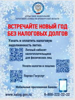 Встречайте новый год  без налоговых долгов