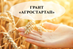 Объявление о проведении конкурса на предоставление грантов «Агростартап» в 2025 году