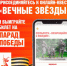 Присоединяйтесь к онлайн-квесту «Вечные Звёзды» - Тюльганский район