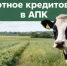 Льготное кредитование в АПК: порядок получения и основные условия - Тюльганский район
