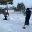 Снежный десант  - Тюльганский район