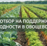 Объявление о проведении отбора получателей субсидии на поддержку доходности сельскохозяйственных товаропроизводителей в области овощеводства - Тюльганский район