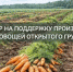 Объявление о проведении отбора получателей субсидии на поддержку производства овощей открытого грунта - Тюльганский район