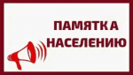 Как себя вести в случае встречи с агрессивными собаками